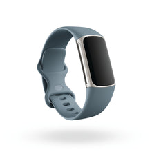 Load image into Gallery viewer, Fitbit Charge 5 Tracker - Steel Blue/Platinum
