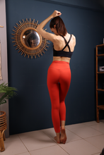 Load image into Gallery viewer, Anina Glide Leggings

